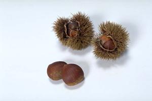 【さつまいも専門店よもや】鹿児島産紅はるかを使った絶品スイーツと立ち飲みスタンドの魅力