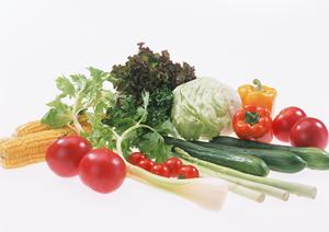 お弁当のつるや：地域に愛される仕出し弁当とテイクアウトの専門店