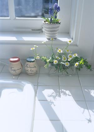 横浜・綱島で絶品を味わう！伝説のすた丼屋 綱島店の魅力と詳細情報