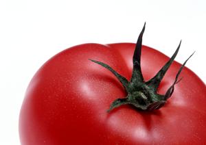 セルフカフェ＆スイーツ体験！広々空間で自由に楽しむリラクゼーションとグルメ